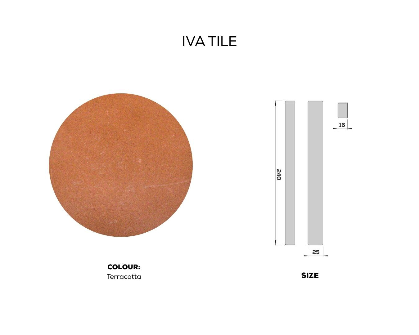 IVA TILE