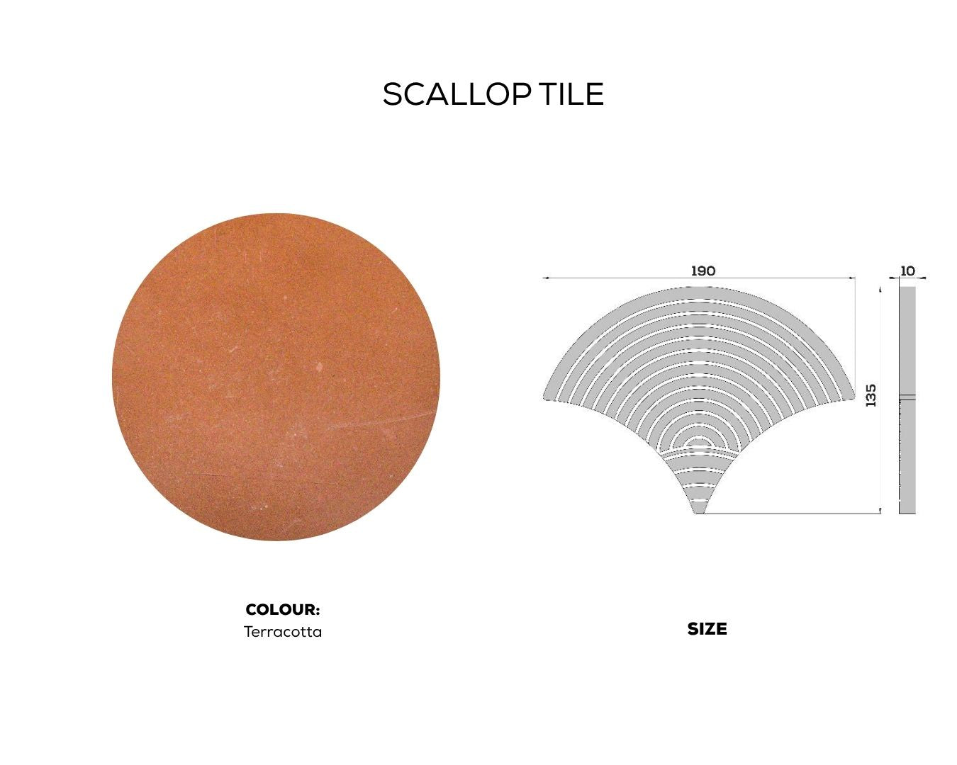 SCALLOP TILE