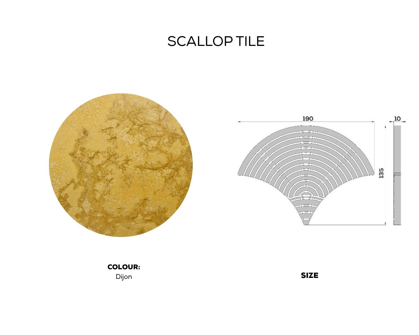 SCALLOP TILE