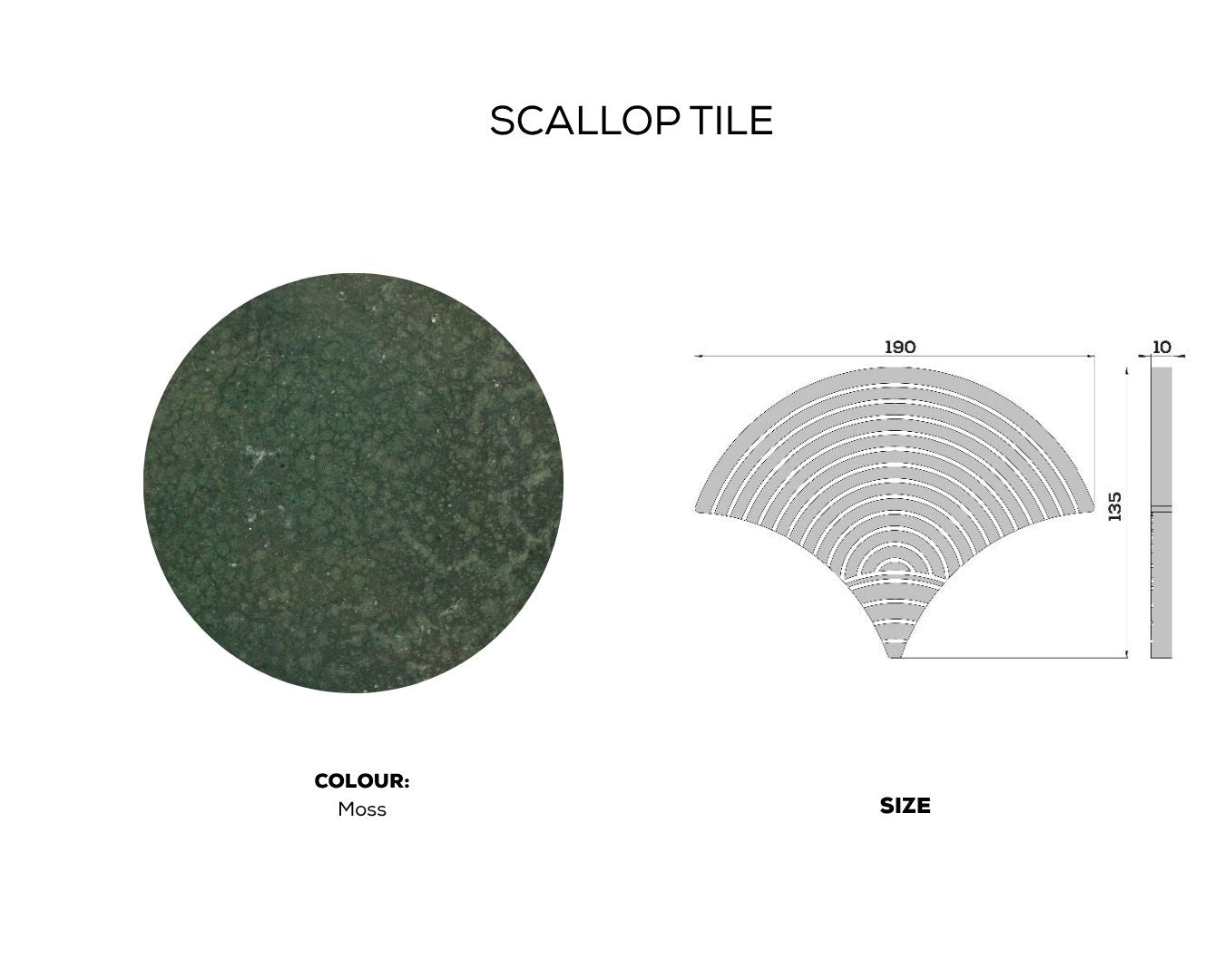 SCALLOP TILE