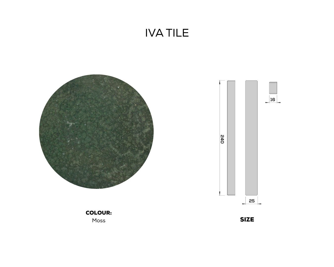 IVA TILE