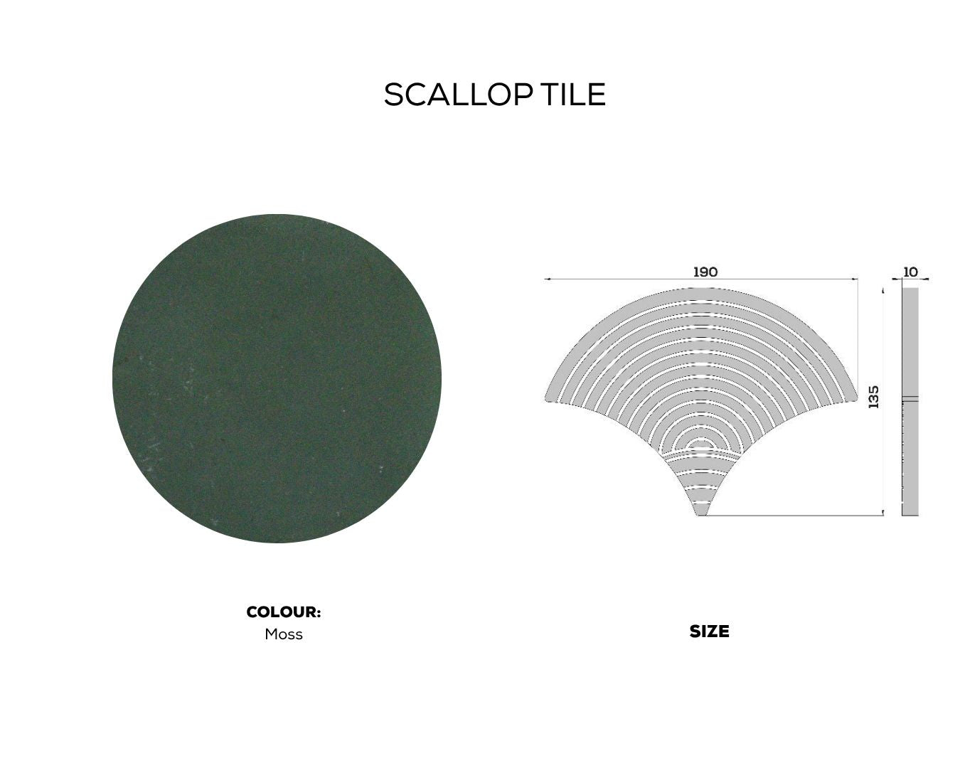 SCALLOP TILE