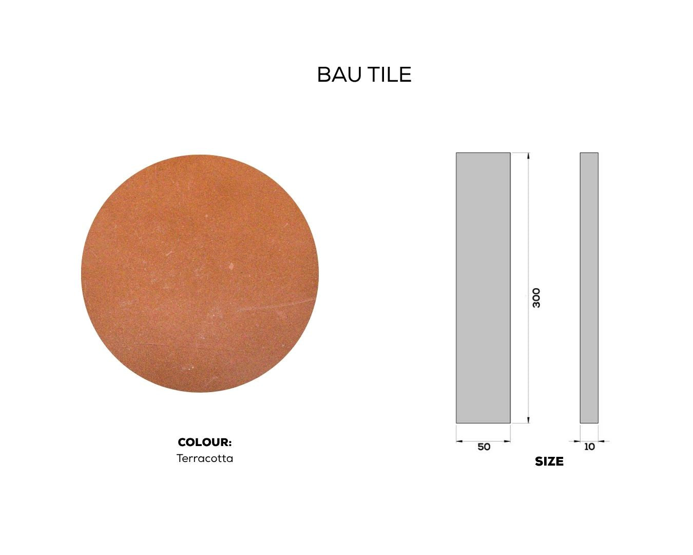 
                  
                    BAU TILE
                  
                