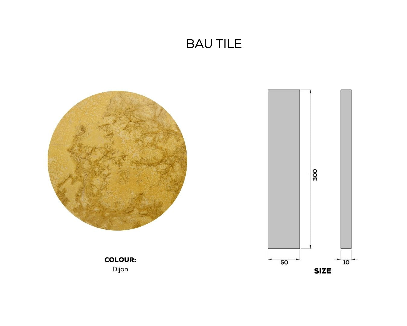 
                  
                    BAU TILE
                  
                