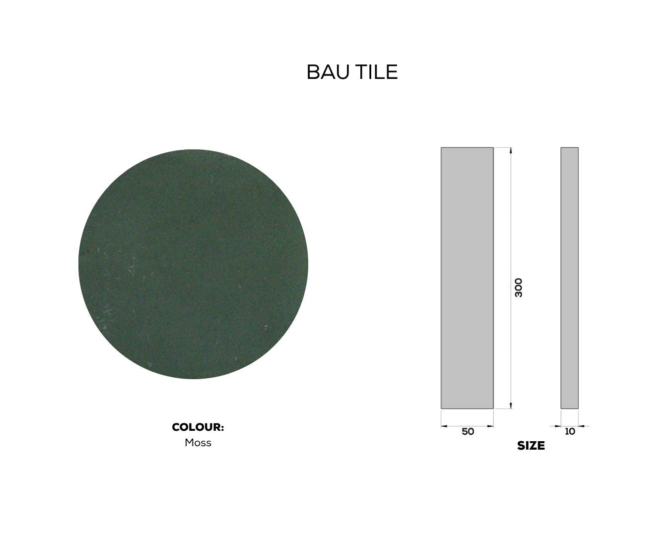 
                  
                    BAU TILE
                  
                